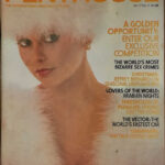 Penthouse vintage 17.9