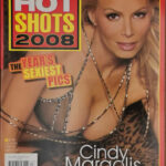 Playboy Hot Shots 2008
