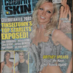 Celebrity Skin jan 2002 Britney Spears