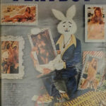 Playboy jan 1973