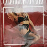 Playboy Calendar Playmates 1992