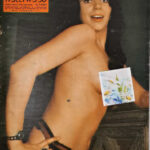 Paris Hollywood (folies de) 451
