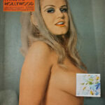 Paris Hollywood (folies de) 437